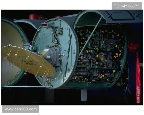 战斗机机载雷达的协同资源管理